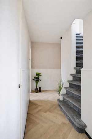 Minimalistische gang in modern huis.png